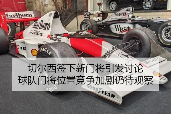 切尔西签下新门将引发讨论 球队门将位置竞争加剧仍待观察